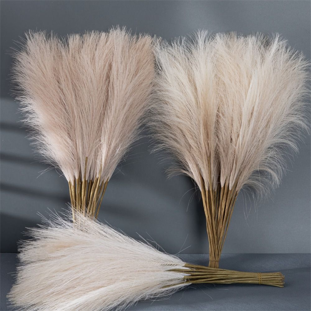10PCS/Set Home Decor Fluffy Pa - Pampas Grass Decor ulasan dan harga